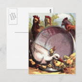 Enten und Hühner Postkarte (Vorne/Hinten)