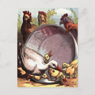 Enten und Hühner Postkarte