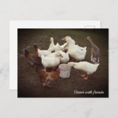 Enten und Hühner Sonniges Abendessen Postkarte (Vorne/Hinten)