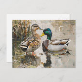 Enten- und Mallard-Malerei Postkarte (Vorne/Hinten)