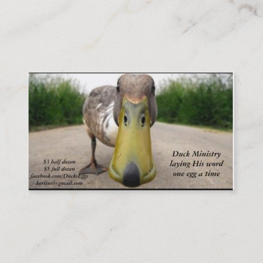 Enten-Visitenkarten Visitenkarte (Rückseite)