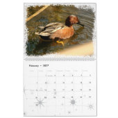 Enten-Vogel-Tier-Tier-Entlein 2016 2017 Kalender (Feb 2027)