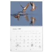 Enten-Vogel-Tier-Tier-Entlein 2016 2017 Kalender (Jan 2027)