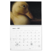 Enten-Vogel-Tier-Tier-Entlein 2016 2017 Kalender (Mär 2027)