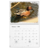 Enten-Vogel-Tier-Tier-Entlein 2016 2017 Kalender (Feb 2026)