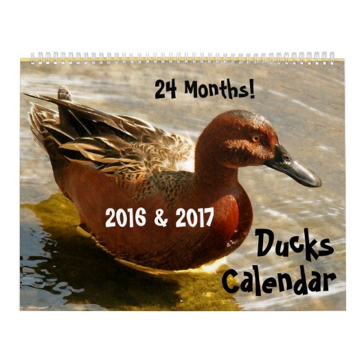 Enten-Vogel-Tier-Tier-Entlein 2016 2017 Kalender (Titelbild)