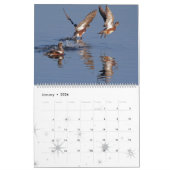 Enten-Vogel-Tier-Tier-Entlein 2016 2017 Kalender (Jan 2026)
