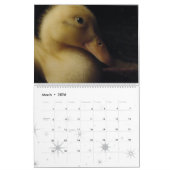 Enten-Vogel-Tier-Tier-Entlein 2016 2017 Kalender (Mär 2026)