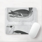 Enten, vom Vallardi Album Mousepad (Mit Mouse)