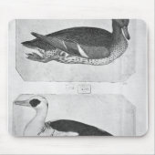 Enten, vom Vallardi Album Mousepad (Vorne)