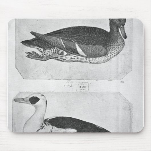 Enten, vom Vallardi Album Mousepad (Vorne)