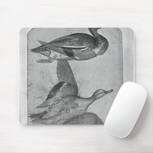 Enten, vom Vallardi Album Mousepad (Mit Mouse)