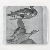 Enten, vom Vallardi Album Mousepad (Vorne)