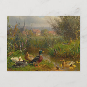 Enten von Carl Jutz Postkarte