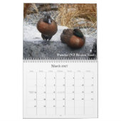 Enten von Neuseeland Kalender (Mär 2027)