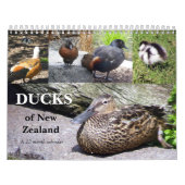 Enten von Neuseeland Kalender (Titelbild)