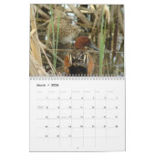 Enten von Nordamerika 2010 Kalender (Mär 2026)