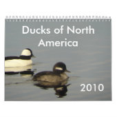 Enten von Nordamerika 2010 Kalender (Titelbild)