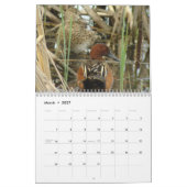 Enten von Nordamerika 2010 Kalender (Mär 2027)