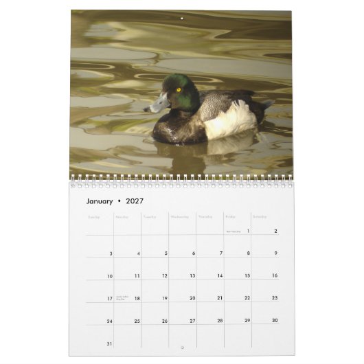Enten von Nordamerika 2010 Kalender (Jan 2027)