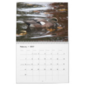 Enten von Nordamerika 2010 Kalender (Feb 2027)
