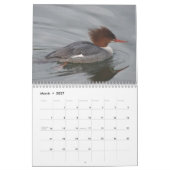 Enten von Nordamerika, 2011 Kalender (Mär 2027)