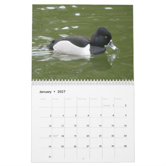 Enten von Nordamerika, 2011 Kalender (Jan 2027)