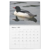 Enten von Nordamerika, 2011 Kalender (Feb 2027)