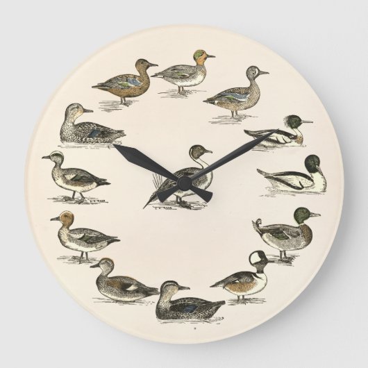 Enten von Nordamerika Illustrationen Große Wanduhr (Vorderseite)