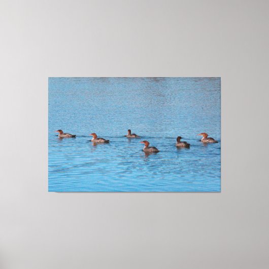 Enten von sechs leinwanddruck (Vorderseite)