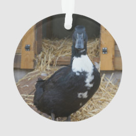 Enten-Weihnachtsverzierung Ornament