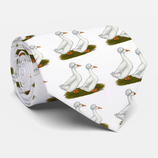 Enten:  Weiß Crested Krawatte (Gerollt)