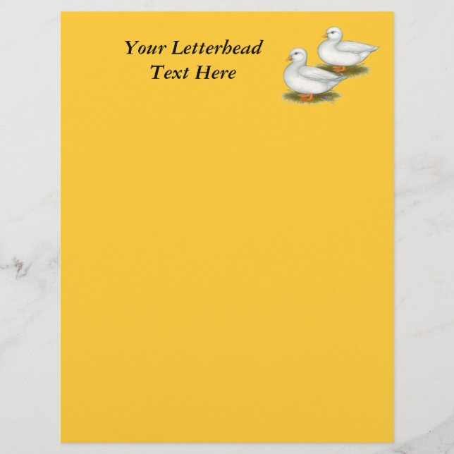 Enten: Weiße Anrufe (Vorderseite)