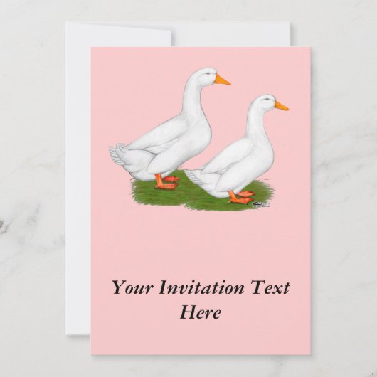 Enten: Weiße Pekins Einladung (Vorderseite)