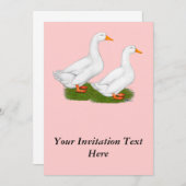 Enten: Weiße Pekins Einladung (Vorne/Hinten)