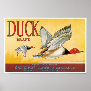 Enten-Zitronen-San- DimasLos Angeles County Poster