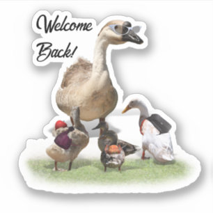 Enten zurück zur Schule Aufkleber