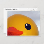 Entenauge Postkarte (Vorne/Hinten)