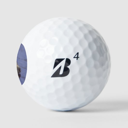 Entenbaby Golfball (Logo)