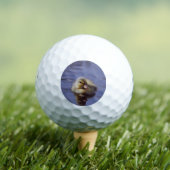 Entenbaby Golfball (Insitu T-Shirt)