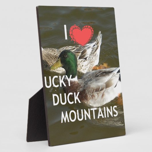 Entenberge. Fotoplatte (Seite)