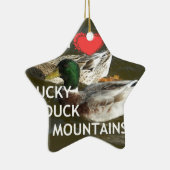 Entenberge. Keramikornament (Rechts)