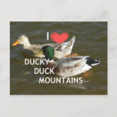 Entenberge. Postkarte (Vorderseite)