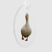 Entendecht Ornament (Vorderseite)