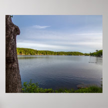 Entenfamilie beginnt