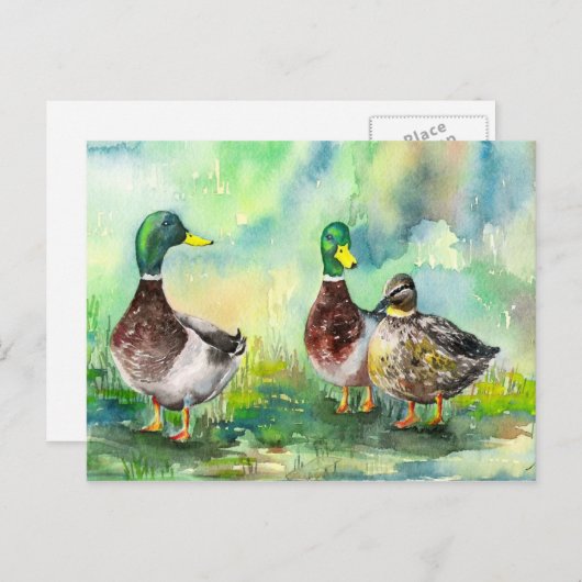 Entenfamilie Postkarte (Vorne/Hinten)