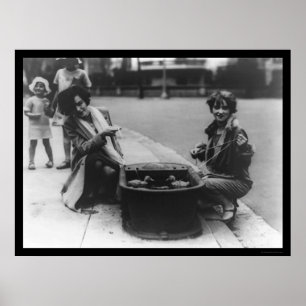 Entenfang in Washington, D.C. 1926 Poster