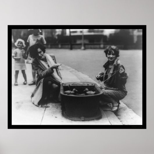 Entenfang in Washington, D.C. 1926 Poster (Vorne)