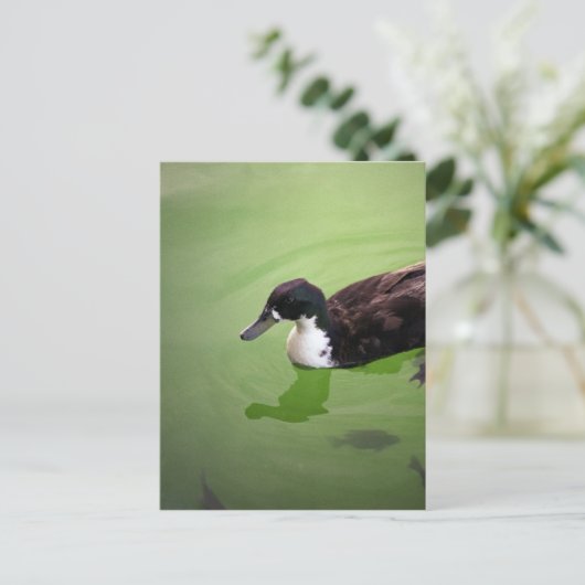 Entenfang Postkarte (Stehend Vorderseite)