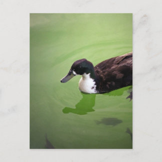 Entenfang Postkarte